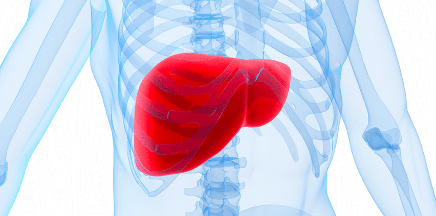 Problems of Liver in Hindi