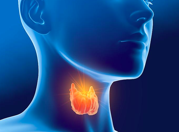 थायराइड रोग क्या है? Thyroid in Hindi