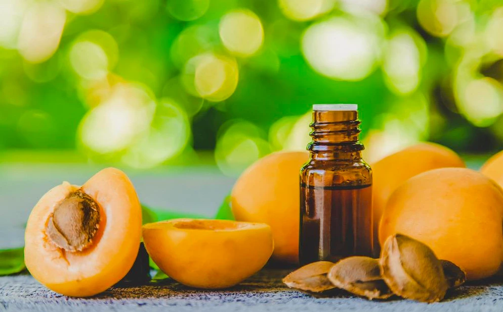 जानें खुबानी के तेल के अद्भुत फायदे | Apricot Oil in Hindi